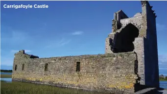  ??  ?? Carrigafoy­le Castle