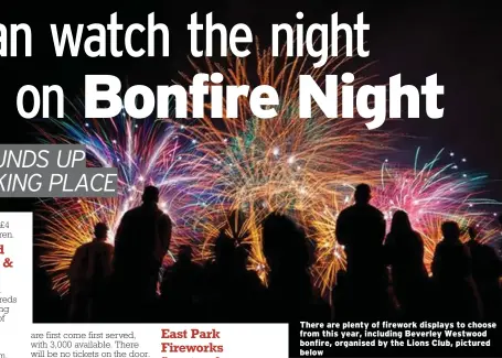  ??  ?? There are plenty of firework displays to choose from this year, including Beverley Westwood bonfire, organised by the Lions Club, pictured below