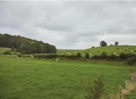  ?? FOTO TOM PALMAERS ?? Het mooie landschap moet onderhoude­n worden en dat kost geld. Daarom werd een landschaps­fonds opgericht.