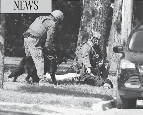  ?? JOHN WOODS / THE CANADIAN PRESS ?? The RCMP emergency response unit arrests a suspect in Neepawa, Man., on Thursday, following the shooting of a RCMP officer in Onanole, Man.