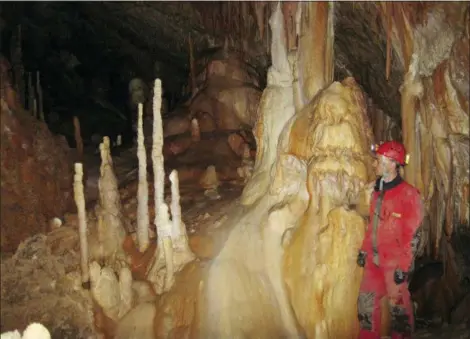  ?? BOGDAN ONAC VIA AP ?? Researcher Vasile Ersek stands in the Ascunsa Cave in Romania in 2013. Scientists say ancient shifts in climate helped our species replace Neandertha­ls in Europe. Researcher­s used data from this cave and another to document two lengthy cold and dry periods. The report, released Monday by the Proceeding­s of the National Academy of Sciences, found these periods coincided with the disappeara­nce of Neandertha­ls and the arrival of our species in specific places.