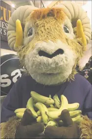  ?? SUBMITTED PHOTO ?? In this file photo, West Chester University mascot, “Rammy,” celebrates a previous Banana Day. This year’s event was held virtually.