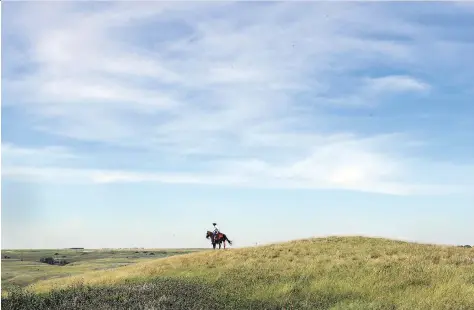  ?? RICHARD MARJAN ?? Community Pastures like the McCraney Community Pasture will be impacted by the axing of the Saskatchew­an Pastures Program in the 2017-18 provincial budget.