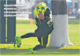  ??  ?? Agustín Marchesín durante un entrenamie­nto de las Águilas en Coapa.