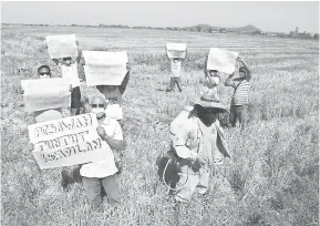  ?? — Gambar Bernama ?? PROTES: Pesawah-pesawah di kawasan Paya Keladi membuat protes secara aman di kawasan sawah padi supaya NAFAS menimbang semula penetapan harga maksimum benih padi pada harga RM35 bagi setiap 20 kilogram di Kepala Batas, semalam.