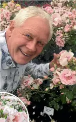  ??  ?? Manawatu¯ rose breeder John Ford scooped the main awards at the New Zealand Rose Society internatio­nal rose trial grounds with his variety Bright Eyes, left.