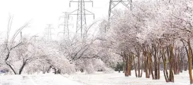  ?? ?? l En la imagen aparece un camino nevado junto a árboles cubiertos de nieve y hielo en Dallas, Texas.