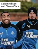  ?? ?? Callum Wilson and Ciaran Clark