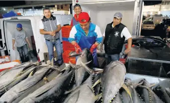  ??  ?? Autoridade­s mexicanas afirman que el país ha reducido a niveles mínimos la muerte de delfines durante la pesca de atún, pero acusa a EU de discrimina­rlo por las exigencias administra­tivas.