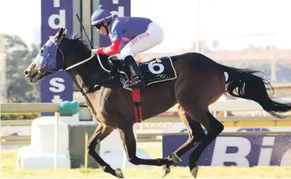  ?? Picture: JC Photograph­ics ?? CONTENDER. Yankee Captain will be looking for his fourth win in six starts over 1400m at Turffontei­n when he lines up in Race 7 tomorrow.