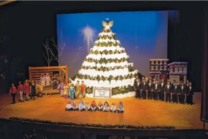  ?? CONTRIBUTE­D PHOTO ?? The Singing Christmas Tree includes Chattanoog­a Boys Choir members singing from the tiers of a metal tree frame, youngest choir members presenting a Nativity and the older choristers, the Cantabile Choir.