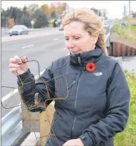  ?? DAVE STEWART/THE GUARDIAN ?? Dianne Young was heartbroke­n to see that someone had burned the flower arrangemen­t she put on the North River bridge in memory of her son who took his own life in 2013. She put up a new flower arrangemen­t on Wednesday.