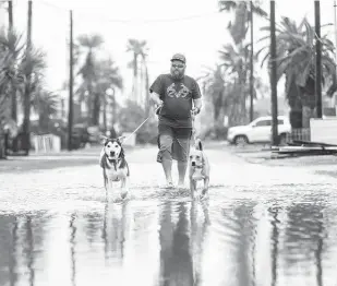  ?? Jon Shapley / Staff photograph­er ?? Jon Wilson walks two dogs that belong to his friend on Tuesday in Jamaica Beach after Hurricane Nicholas brought wind and water to much of the Upper Texas Coast.