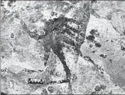  ?? RATNO SARDI/GRIFFITH UNIVERSITY ?? Cave art inside Bulu Sipong 4, Sulawesi, Indonesia, depicts hunting scene painted 44,000 years ago, the oldest known.