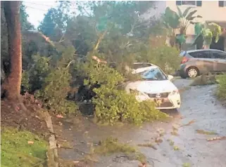  ?? CAITLIN DOORNBOS/STAFF ?? The Orlando Fire Department responded after a car was struck by a large branch Sunday. No one was hurt.