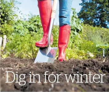  ?? ?? Prepare your winter vegetable and flower garden this month.