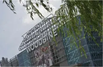  ?? TARA WALTON/TORONTO STAR FILE PHOTO ?? Woodbine Racetrack, which has slots but is threatened with losing them, would like to be a full-fledged casino.