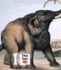  ??  ?? Artist’s impression: How mammoths looked