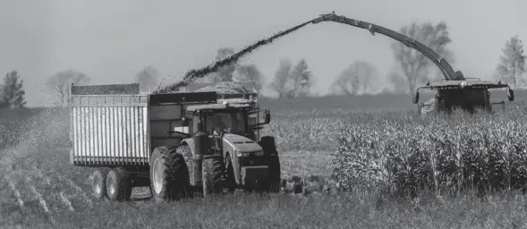  ?? MARK HOFFMAN / MILWAUKEE JOURNAL SENTINEL ?? Freshly chopped and harvested corn streams into a trailer on the family farm of Roger Rueth in Loyal.