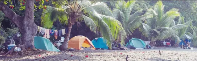 ?? PHOTOS BY SUZANNE MORPHET/ POSTMEDIA NEWS ?? Ho’okena Beach Park is now managed by the local community and is a popular campground for visitors. Tents can be set up right on the sand, while camper vans park at one end of the beach.