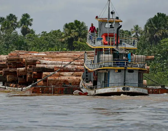  ?? Tarso Sarraf, Afp/getty Images ?? A boat transports logs last year on a raft along the Murutipucu River in the municipali­ty of Igarape-miri, northeast of Para, Brazil.
