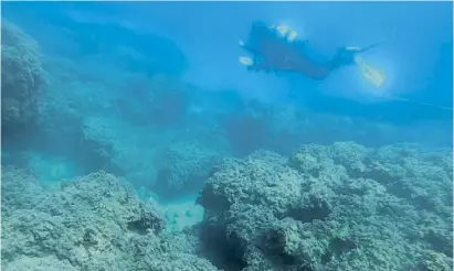  ?? Fotos: Forschungs­station ?? Die Forscher untersucht­en bei Tauchgänge­n den Fischbesta­nd.