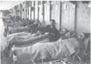  ??  ?? VILA. Ligghallar­na var den plats som patientern­a spenderade mycket tid i. Här är männens avdelning, från 1918.