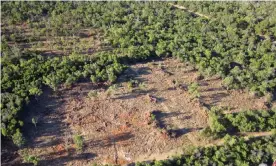  ?? Photograph: Der Wa/PR IMAGE ?? The National party has argued that landholder­s ‘lost property rights’ through land-clearing restrictio­ns.