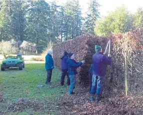  ??  ?? Volunteers working as a team to keep the hedges in shape at Scone Palace.