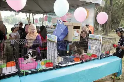  ??  ?? ORANG ramai berpeluang memilih kucing angkat yang sudah dibersihka­n .