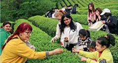  ??  ?? La agricultur­a de ocio y el turismo rural vienen creciendo mucho en China.