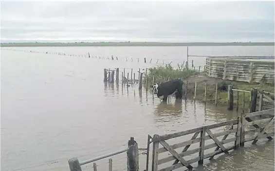  ??  ?? Al borde de la ruta 205. Un campo inundado que anticipa que habrá menos rindes y pérdidas en la campaña 2017-2018.