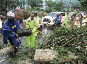  ?? ROBERTUS RISKY/JAWA POS ?? BASAH KUYUP: Tim Kadaka DKRTH Surabaya memotong-motong batang pohon yang besar untuk mempermuda­h pemindahan di Jalan Raya Gubeng, Surabaya, kemarin (6/1).