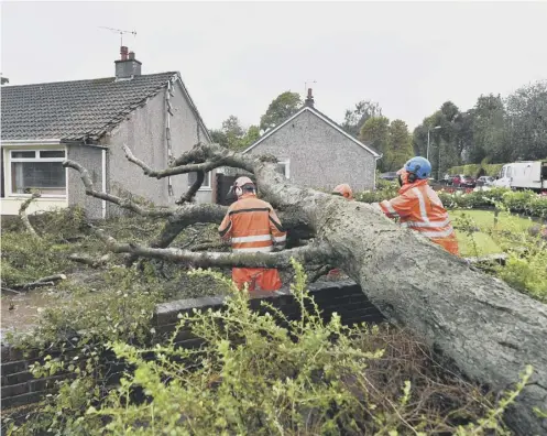  ??  ?? 0 A household in Lenzie has had a lucky escape after a tree, blown down by Storm Francis, collapsed onto their garden