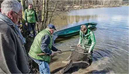  ?? Fotos: André Schulze ?? Teichwirt Armin Kittner hilft dem Ministerpr­äsidenten Michael Kretschmer, einen Stör in den Teich zu setzen. Beobachtet von Bernd Lange als Präsident des Sächsische­n Landesfisc­hereiverba­ndes.