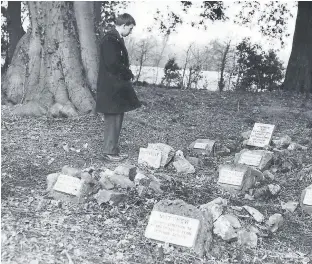  ??  ?? The famous pet cemetery in 1960