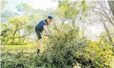  ?? JACOB LANGSTON/STAFF PHOTOGRAPH­ER ?? Buddy Spencer uses a chainsaw to cut up yard debris in the yard of his Longwood home on Wednesday morning.