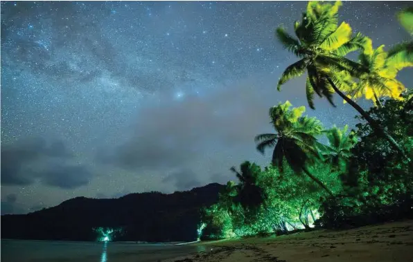  ??  ?? Palms frame the stars near the Chalets d’Anse Forbans on Mahe in the Seychelles.