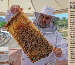  ?? Photos by M. Sajjad ?? A beekeeper examines the hives during the Hatta Honey Festival. —