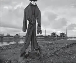  ?? MICHAEL S. WILLIAMSON/THE WASHINGTON POST FILE PHOTO ?? Scarecrows and warning shots are used to deter birds from landing in tailings ponds. But a wildlife biologist says no one knows how many animals may be affected by coming into contact with oilsands waste.