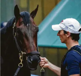  ?? Skip Dickstein / Albany Times Union ?? Quip and trainer Rodolphe Brisset come into Saturday’s Preakness Stakes with three victories and a runner-up finish in five career races as a 3-year-old.