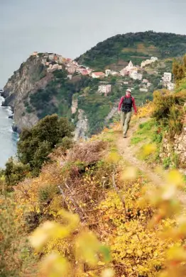  ??  ?? Hike and lights in Manarola The village of Manarola is smaller than the others and its tiny harbor and town are seemingly built into the cliff. The terraced vineyards offer a glimpse of just one of the special things Manarola has to offer — but it’s not what you might expect. If you’re lucky enough to visit during the holiday season, Manarola boasts the largest nativity scene, or presepe (“crib”), in the world. A magnificen­t display of lights adorn the hillside, with thousands of bulbs depicting the figures of Mary, baby Jesus, angels, and various animals for a total of more than 300 characters. The display runs from the first week of December through late January or early February. If it’s not winter, opt for a view of those same hills: The hiking path between Manarola and Riomaggior­e (the next village) is known as Via dell’Amore, the most popular and easiest part of the coastal trail between the five villages.