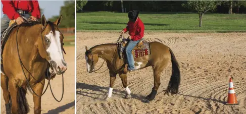  ??  ?? LEFT: Anticipati­ng the turn can mean your horse needs more breaks during a training session where you drape your reins and let him rest. RIGHT: Have a plan of where you’ll start, how far around you want to turn, and when you’ll stop. Line up with a...
