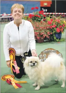  ??  ?? Best in Show winner Denise Coughtrie and Ava the Tibetan Spaniel.