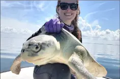  ?? — Photo by Mariana Fuentes ?? Natalie Wildermann with a Kemp’s ridley sea turtle.
