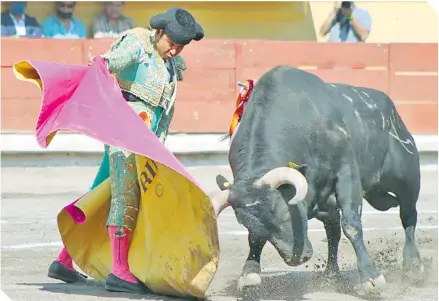  ?? / FOTO: CORTESÍA ÁNGEL SAINOS ?? El toro abrazó a Rifao de la cabeza con el pitón izquierdo, cuando toreaba de capote.