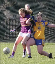  ??  ?? Wexford’s Niamh Butler uses her strenght to get the better of Clare’s Laurie Ryan in St Patrick’s Park last weekend.
