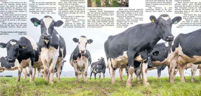  ?? PHOTO / NZME ?? The dairy industry is still struggling to get workers.