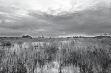  ?? Miami Herald file ?? The Biscayne Bay and Southeaste­rn Everglades Ecosystem Restoratio­n project aims to restore freshwater flows to the wetlands along Biscayne Bay, improve resilience to sea level rise and protect the Biscayne aquifer.