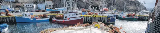  ?? KEITH GOSSE/THE TELEGRAM ?? Fishing boats are seen in the Prosser’s Rock small-boat basin in St. John’s earlier this week.